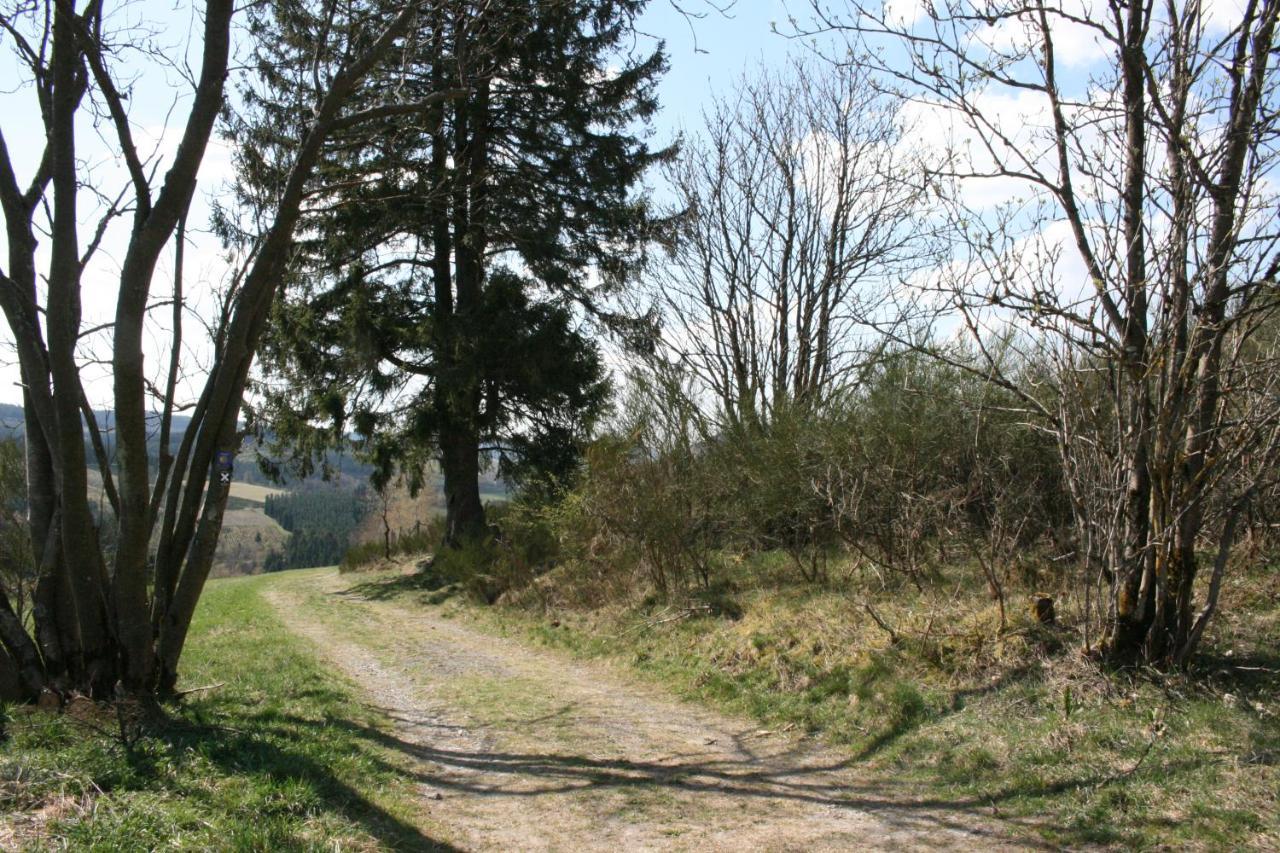 Ferienhaus Zur Ennest Schmallenberg Esterno foto
