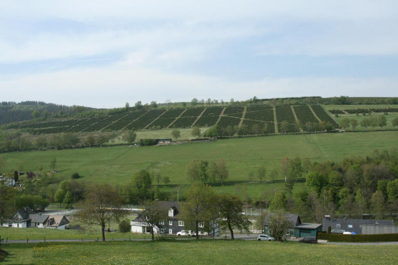 Ferienhaus Zur Ennest Schmallenberg Esterno foto